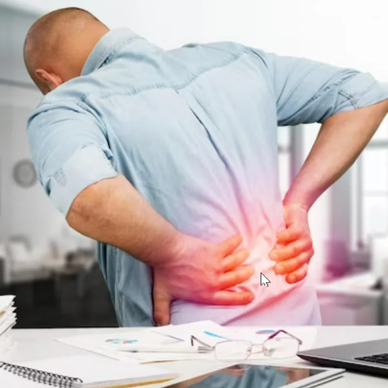 Inside Thornapple River Chiropractic in Grand Rapids